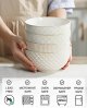 Ceramic Soup Bowls, Cereal Bowl Set of 4 with Assorted Embossment (6.1 inch & 30 oz), Farmhouse Vintage Color Bowls for Kitchen